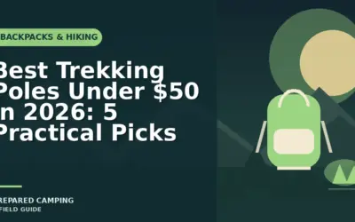Affordable Trekking Poles We Recommend in 2026